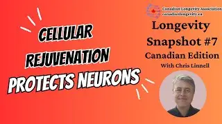 Longevity Snapshot 7 - Cellular Rejuvenation Protects Neurons