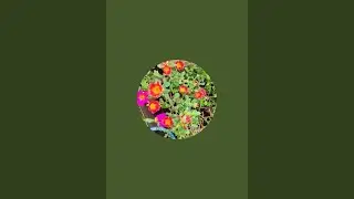 Explore the nature view, gardening tips, flower garden