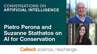 Using Artificial Intelligence for Wildlife Conservation