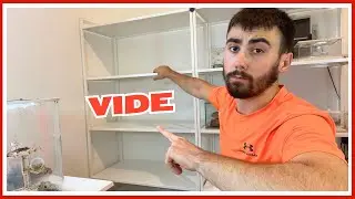 J'ai mis mes fourmis au frigo ! [CONSEILS DIAPAUSE](vlog GF 9)