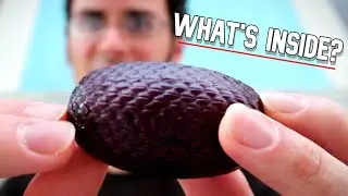 АГУАХЕ — этот пальмовый плод очень вкусный, но очень сложный — Weird Fruit Explorer