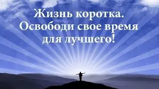 Coince-Обзор доходности 180% за 60 дней!