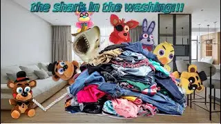 the shark in the washing!!!