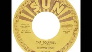 Dr. Ross - Cat Squirrel