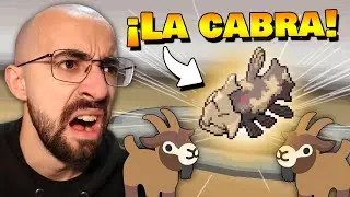 ❌ ¡NO PUEDO CON ÉL! 👉🐐 Combates Ranked #42 RANDOM | PokeMMO
