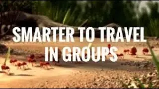 Travel in Groups + Brother by Need to Breathe