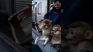 &ldquo;Not the train&hellip; human cruelty pushed this poor monkey down 💔Animals feel pain too.&rdquo;