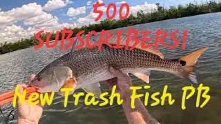 [Slam] 500 Subscribers New Trash Fish PB Redfish Snook  Hobie Saltwater Kayak Fishing Pine Island Fl