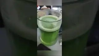 Mint Juice | Francesca Barresi Vlog