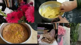 Custard cake |Anniversary special | thoughts