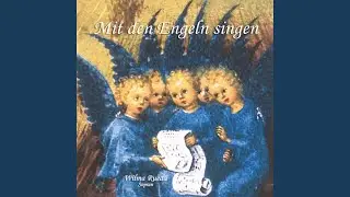 Du mein Schutzgeist Gottes Engel (Herolds Gesangbuch 1808)