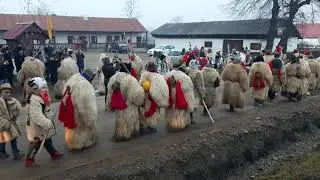 Urșii de la Rotunda(31.12.2020)part.1