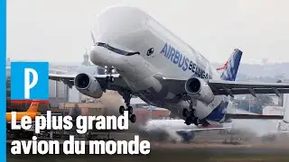 Beluga XL : comment Airbus fabrique le plus grand avion du monde