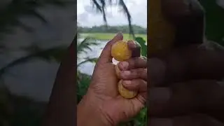 srilankan village healthy  drink  #orange  and sidaram # beautiful nature 🥰🥰🥰🥰