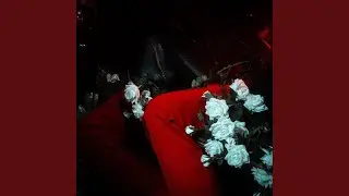 WHAT YOU WANTED (feat. Dani Winter-Bates)