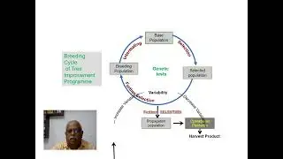 Tree improvement -2, Breeding cycle