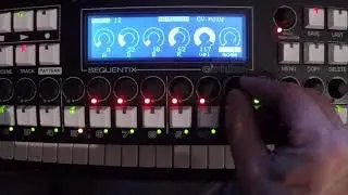 Cirklon Poly Modes