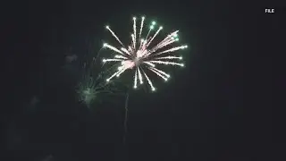 Strong winds heighten wildfire risk in Southeast Texas, fire chiefs warn amid New Year's festivities