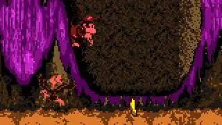 Donkey Kong Country (GBC) - Chimp Caverns - Necky Nutmare