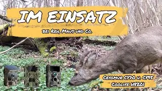 IM EINSATZ bei Reh, Maus und Co. - Coolife H8201, Ceyomur CY70 und CY95