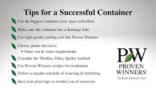 Container Gardening Made Easy: Tips for Success with Proven Winners