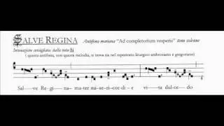 Franz Liszt Salve Regina Klaas Hoek harmonium reed organ