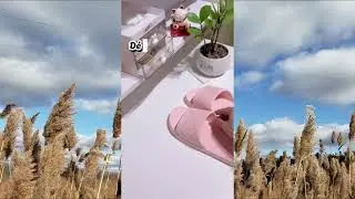 ✨ Combo 5 Đôi Dép Chao Siêu Nhẹ Chỉ 2xK: Êm Chân, Chống Trượt Cho Gia Đình & Văn Phòng 🏠