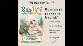 Viajar con tu mascota a otro pa&iacute;s en auto 