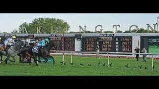 My Simple horse racing wagering system