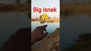 sap aagaya yakab me 😲 #vlog #shots #minivlog #_trending #vaira