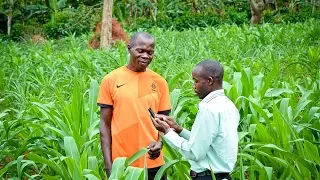 The Big Wins of Open Data for Agriculture and Nutrition (short version)