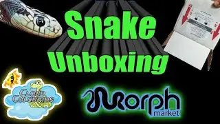 Morphmarket Snake Unboxing