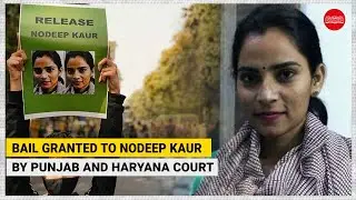 Bail granted to activist Nodeep Kaur by Punjab and Haryana high court