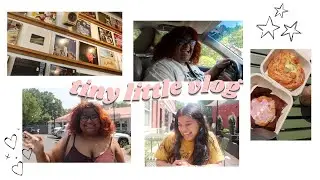 tiny little alpharetta vlog