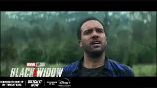 The Avengers Budapest vs the Black Widow Budapest