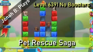 Pet Rescue Saga Level 6391 No Boosters