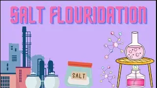 Salt Fluoridation Explained | Benefits, Process & Role in Preventing Tooth Decay