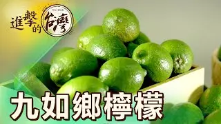 屏東九如友善栽種 檸檬之鄉打造綠金商機 第481集《進擊的台灣》part5｜陳怡廷