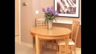 Totally Unique, Unbeatable location, Heat Included - New Haven, CT - For Rent