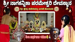 ಶ್ರೀ ನಾಗಕನ್ನಿಕಾ ಪರಮೇಶ್ವರಿ ದೇವಸ್ಥಾನ❤️‍🩹#viralvideo #ytshorts #temple #nagadevatha #nagakannike #anju
