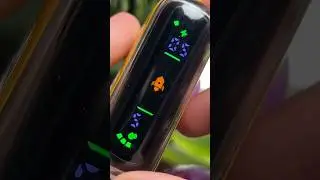 Вкуснятина Geek Bar Pulse 🤤