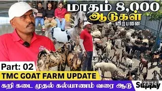 மாதம் 8000 ஆடுகள் - TMC Goat Farms
