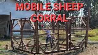 Sheep Vlog: Building a mobile sheep corral!
