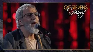 Yusuf / Cat Stevens &ndash; Wild World (Rock and Roll Hall of Fame Induction Ceremony 2014)