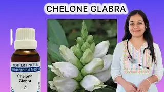 Chelone glabra homeopathic mother tincture in Hindi