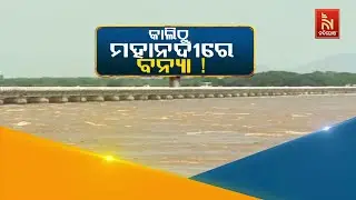 କାଲିଠୁ ମହାନଦୀରେ ବନ୍ୟା! | Mahanadi River Flood Alert! | Hirakud Dam 20 Gates Open | Breaking