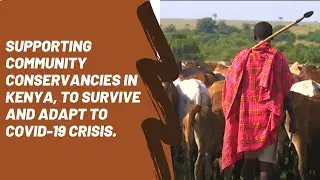 Supporting Community Conservancies in Kenya to Survive and Adapt to COVID-19 Crisis