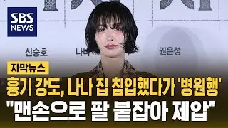 흉기 강도, 나나 집 침입했다가 '병원행'…