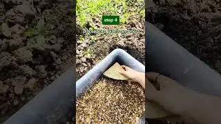 Building a mini wildlife pond #pondbuild #ponds #DIY #wildlife