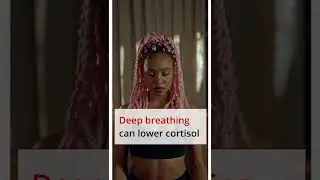 Fight Hunger | Reduce Stress | Cortisol